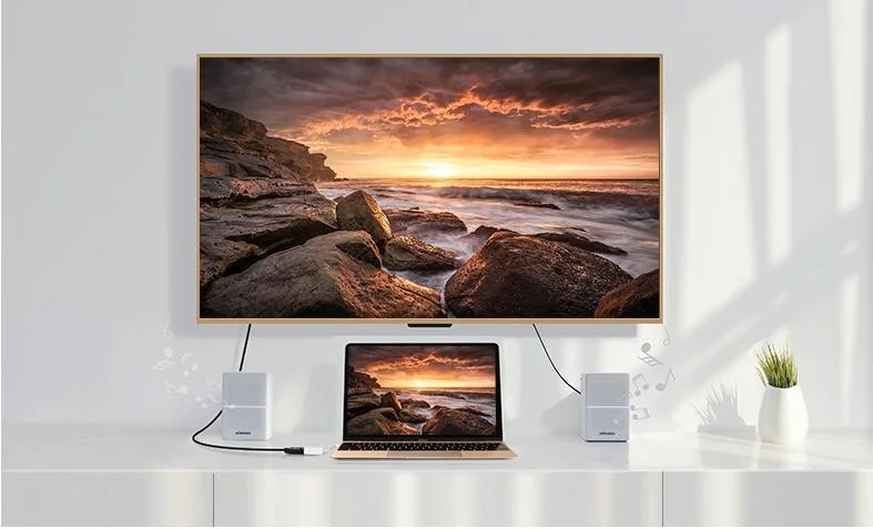 Bộ chuyển đổi USB Type-C sang DisplayPort màu trắng Ugreen ( 40372)