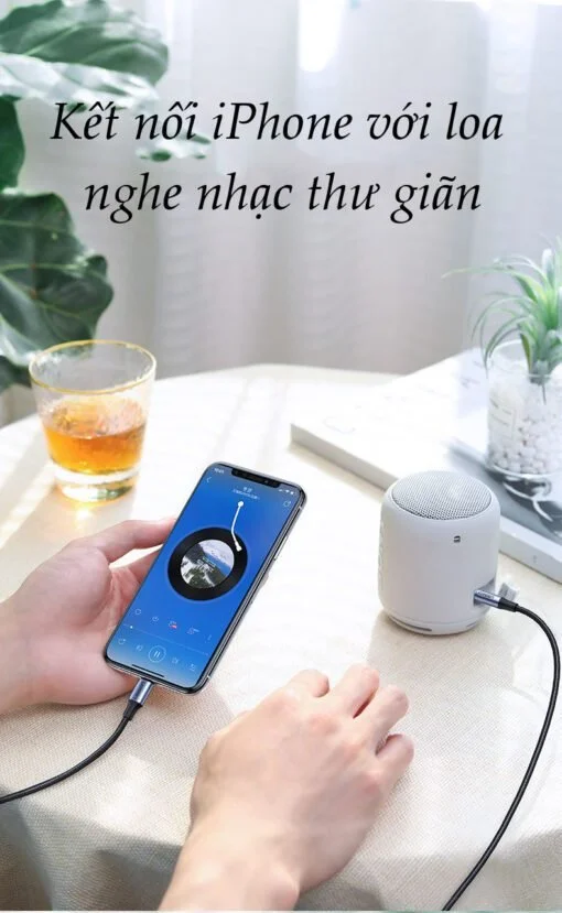 Cáp chuyển đổi Lightning sang 3.5mm chuẩn MFI UGREEN US315 70862 dài 2M — ảnh 7