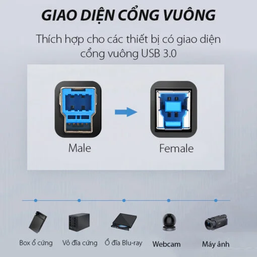 Cáp dữ liệu USB 3.0 cho máy in , truyền dữ liệu từ máy tính ra máy in dài 1m Ugreen (30753) — ảnh 7