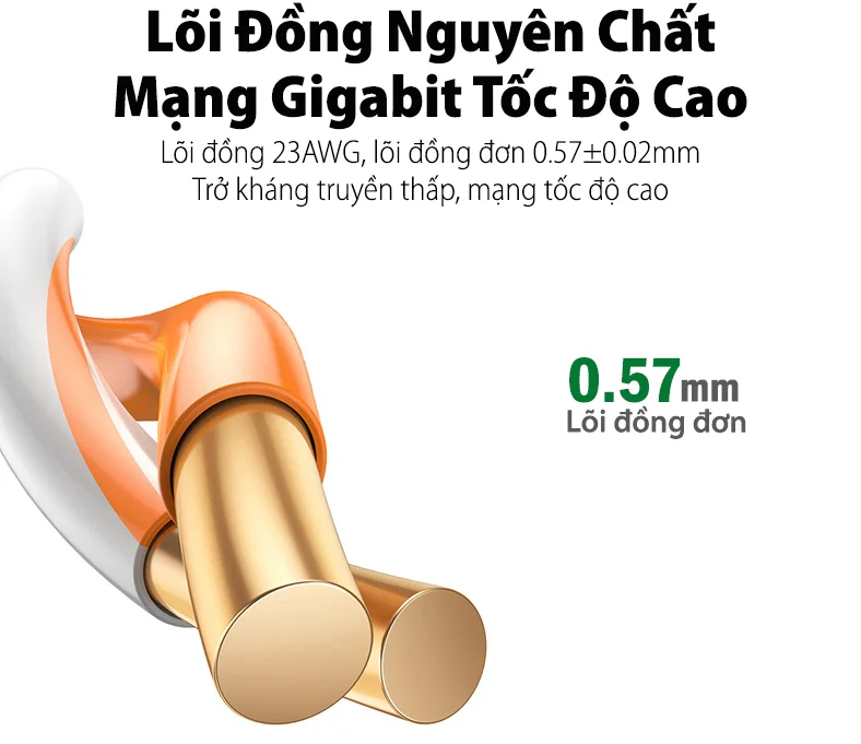 Cuộn cáp mạng CAT6 UTP, dài 100M Ugreen (11257) — ảnh 4