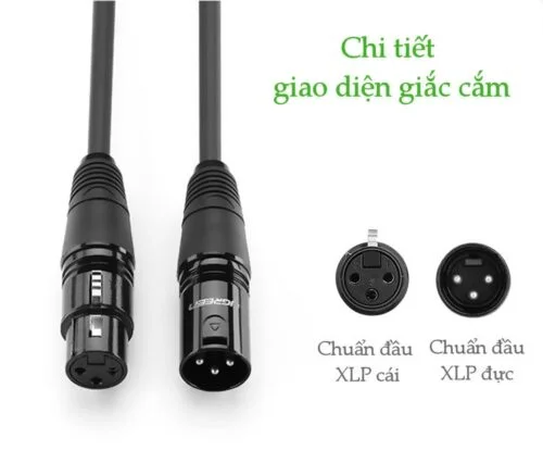 Cáp dữ liệu AV nối dài MIC XLR Ugreen (Canon), dài 8M Ugreen 20713 AV130
