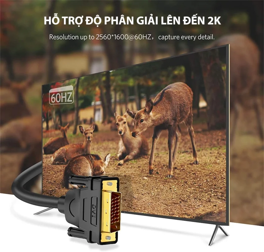 Dây DVI Ugreen (24+1) mạ vàng, dài 15M Ugreen (11603) — ảnh 8